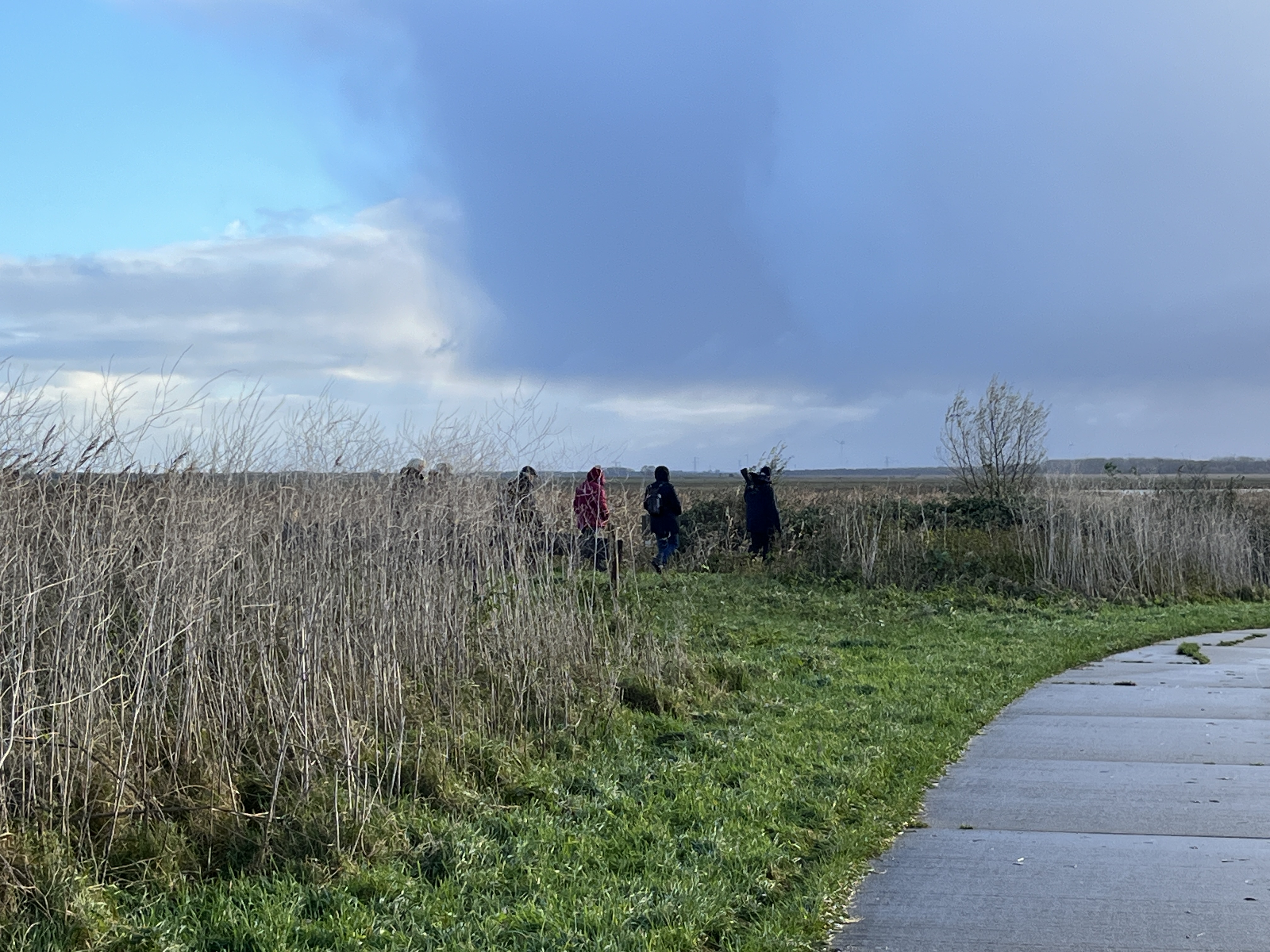 (Oostvaardersplas). Foto van Gerda van der Meer.
Op pad